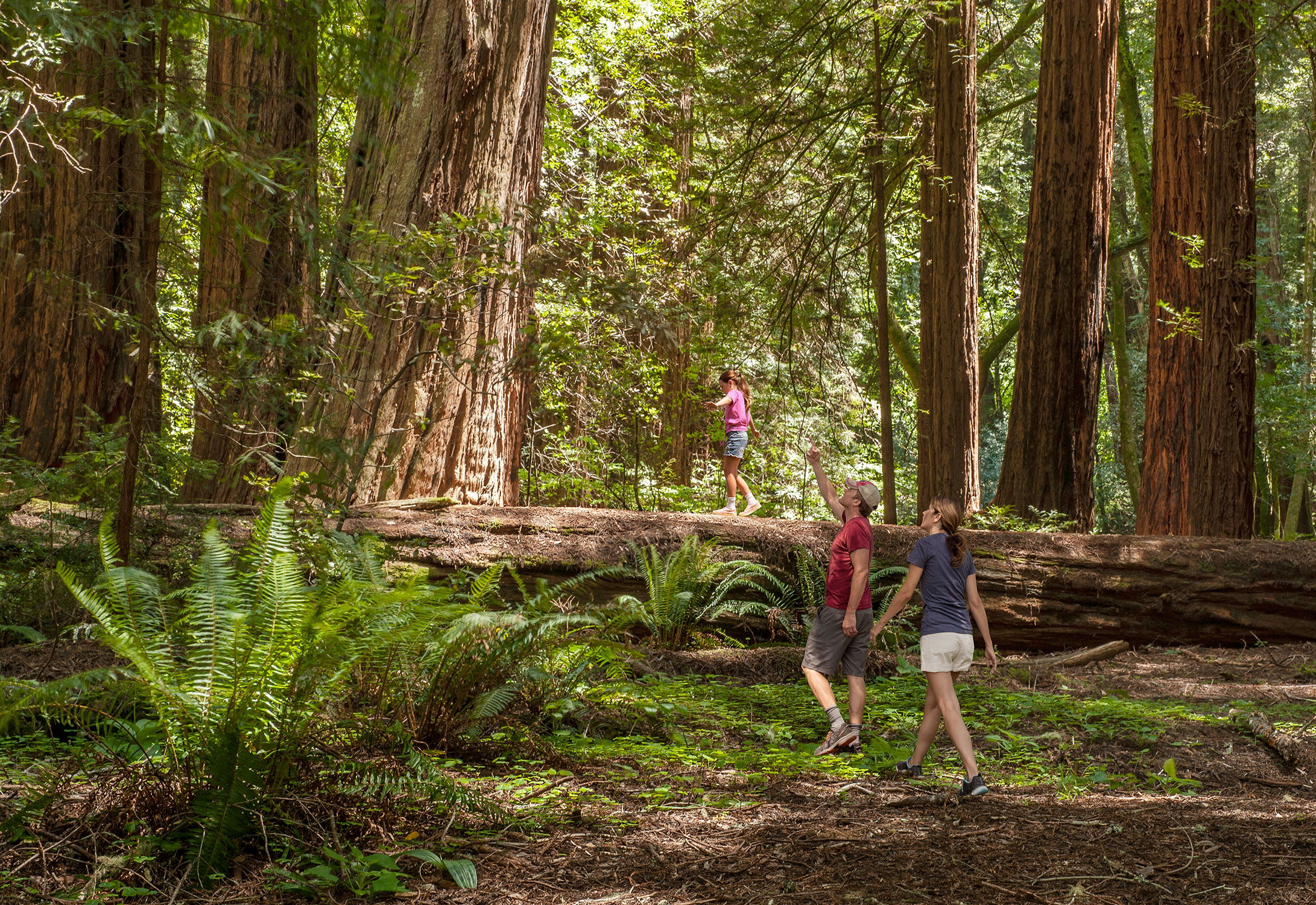 AVABLU-Sequoia-Hike-lifestyle-web
