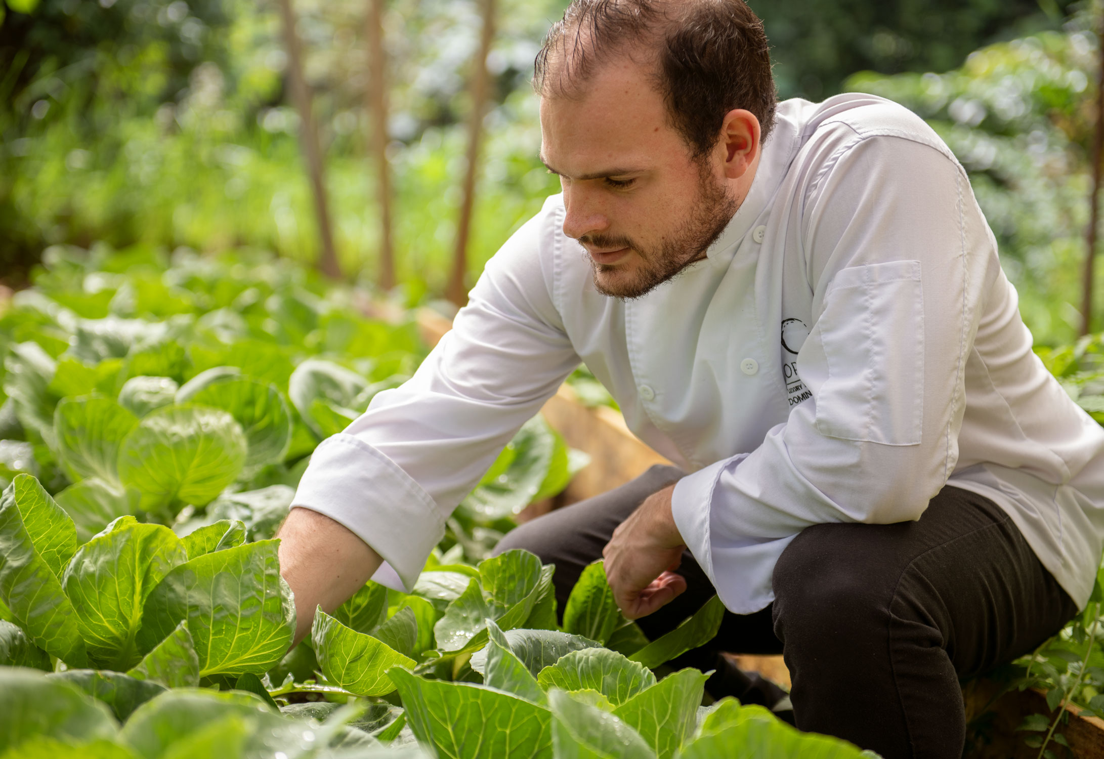ORIGINS-CHEF-IN-GARDEN-3Web