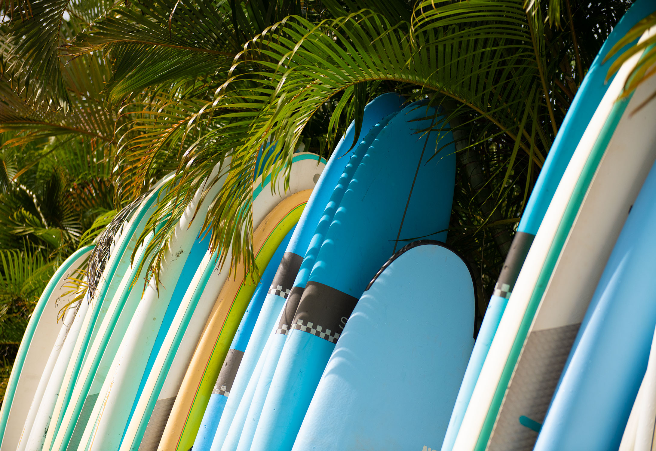 SurfboardsWeb